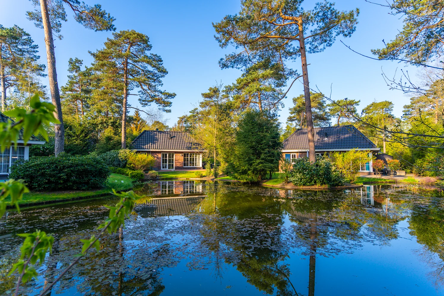 Beekbergen - Header image