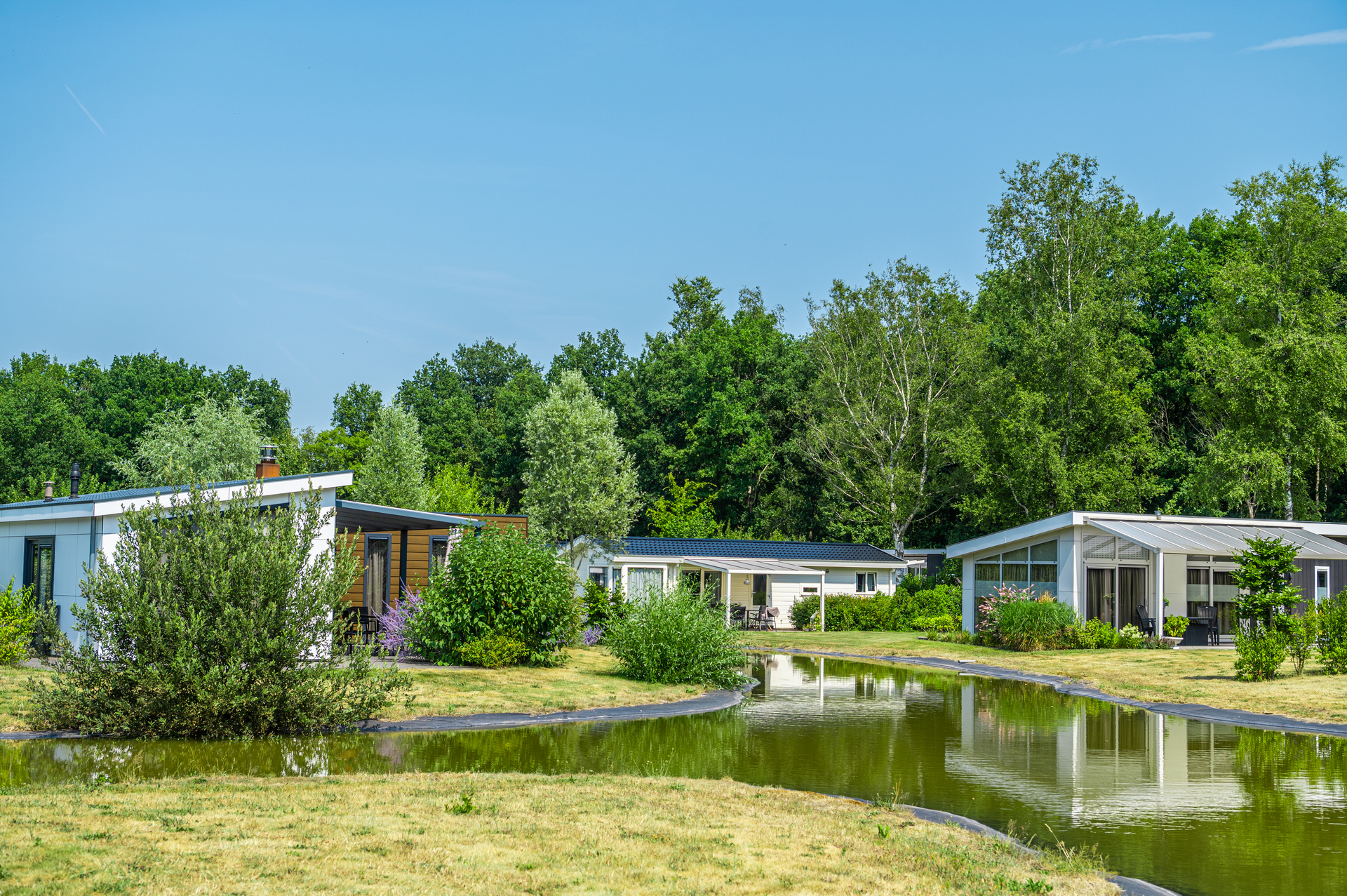 EuroParcs Reestervallei Park Water Bos
