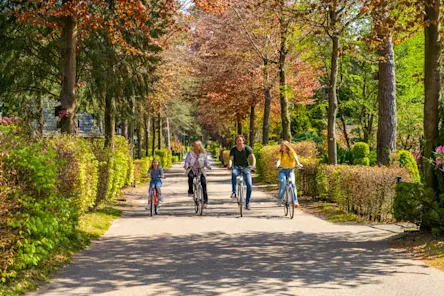 EuroParcs Beekbergen family biking woods