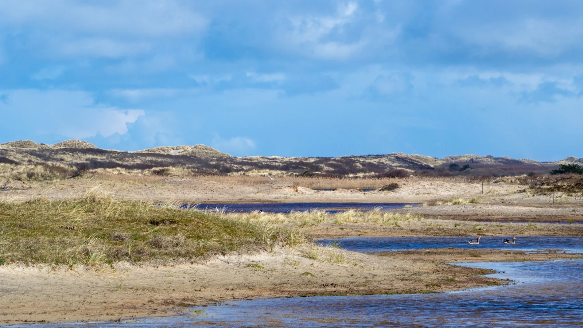 Friesland Sand Water Dunes Coast
