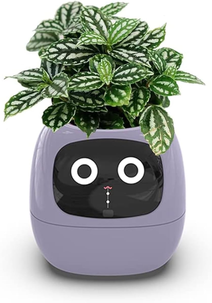 🌱 Meet Ivy: The Smart Flowerpot That Has More Emotional Range Than Your Last Relationship