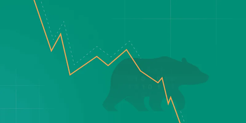 cover-bear-in-mind-long-term-builders-guide-to-the-bear-market