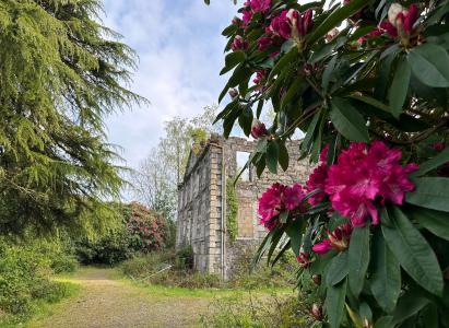 Loch Lomand Hike - Old Building & Flowers