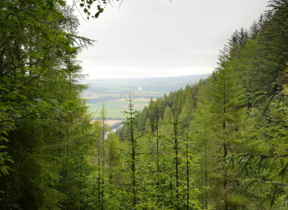 Distant view of the River Spey from the mountain side