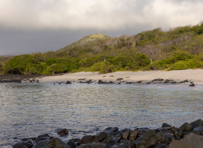 Sunny Galapagos beach.