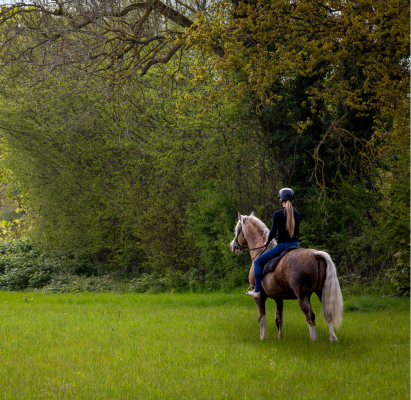 Horse riding in the meadow.