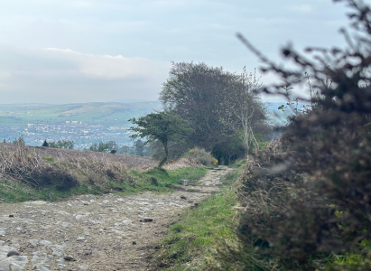 Loch Lomand Hike - Hill Top Boulder Stop - Scenic View