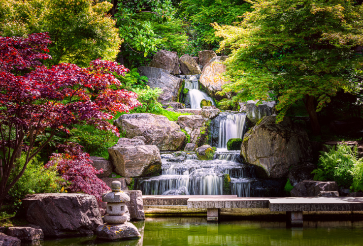 Kyoto Japanese green Garden