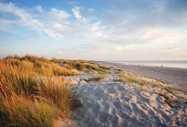 Sand dunes glow during the sunset on West Wittering beach, West Sussex, UK