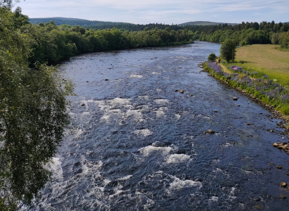 A high view above the famous River Spey