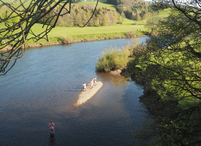 Island in the River Lune by Crook O Lune