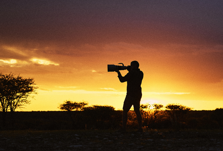 Jandre in the Sunset