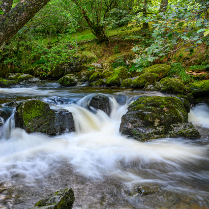 Aira Force