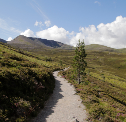 Ben Macdui, cairn gorm trail