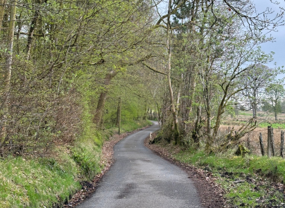 Loch Lomand Hike - Winding Path