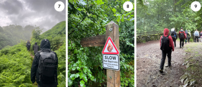 walking through ferns - Signpost - opening with gate