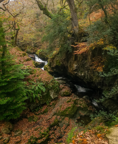Aira Force viewed from nearby path