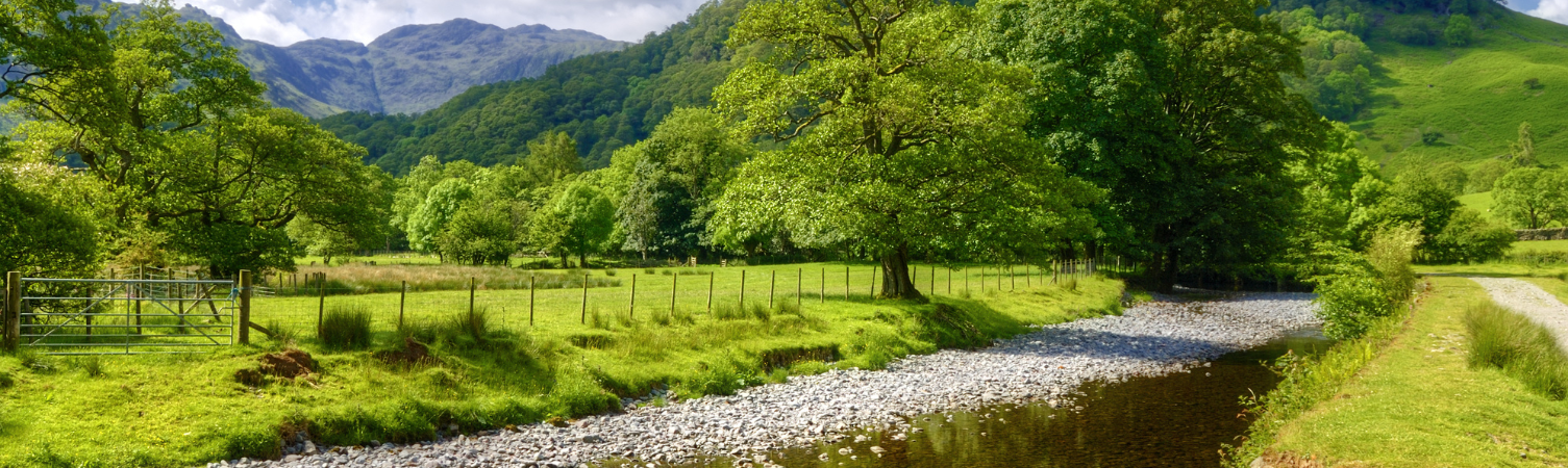 A view of the river Derwent passing through lush, green countryside near Rosthwaite, England.
