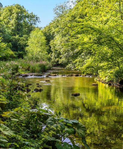 A view up the River Wye from the Monsal Trail in Derbyshire, UK in summertime