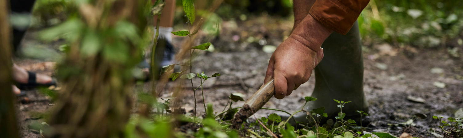 What is Foraging - A Beginners Introduction | Craghoppers