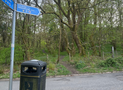 Loch Lomand Hike - Obscure Path