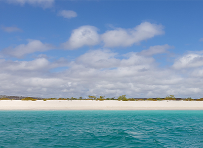 Beach in the Galapagos island