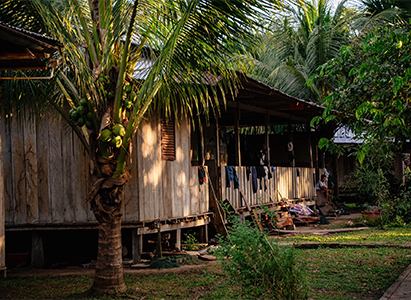 This image shows a hut with clothes hanging to dry over some railings. In front of the hut there is a tree and a bush.