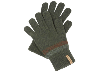 Kiwi Rolltop backpack for a gift