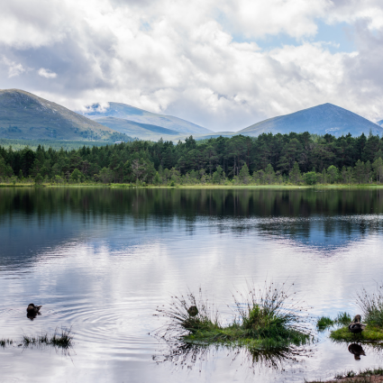 Aviemore