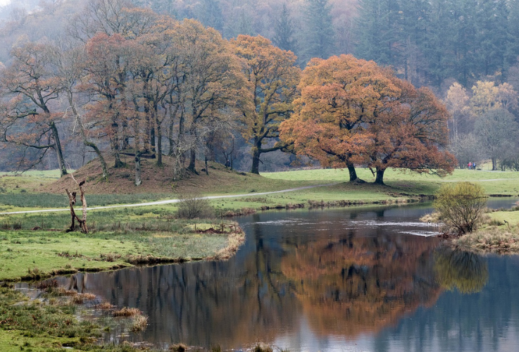 Tarn Hows - River