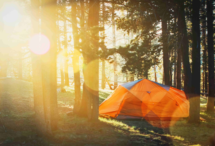 Tent in forest