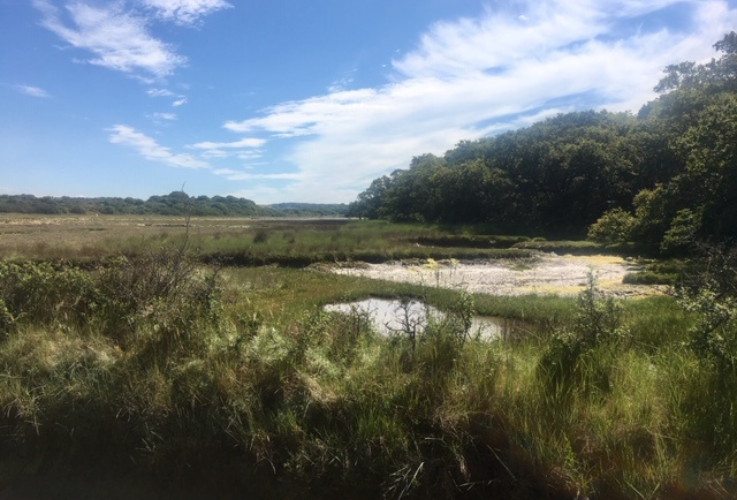 Fields Near Stream