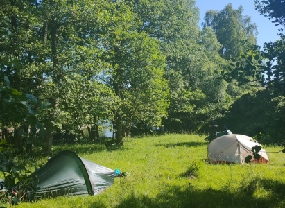 Camping wild besides the River Spey amongst the trees