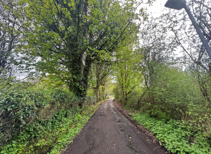 Loch Lomand Hike - Muddy Footpath