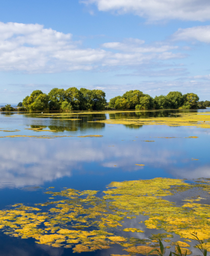 Lough Neagh Northern Ireland Lurgan