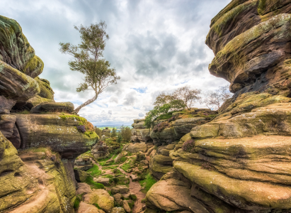 Brimham rocks yorkshire dales england uk.