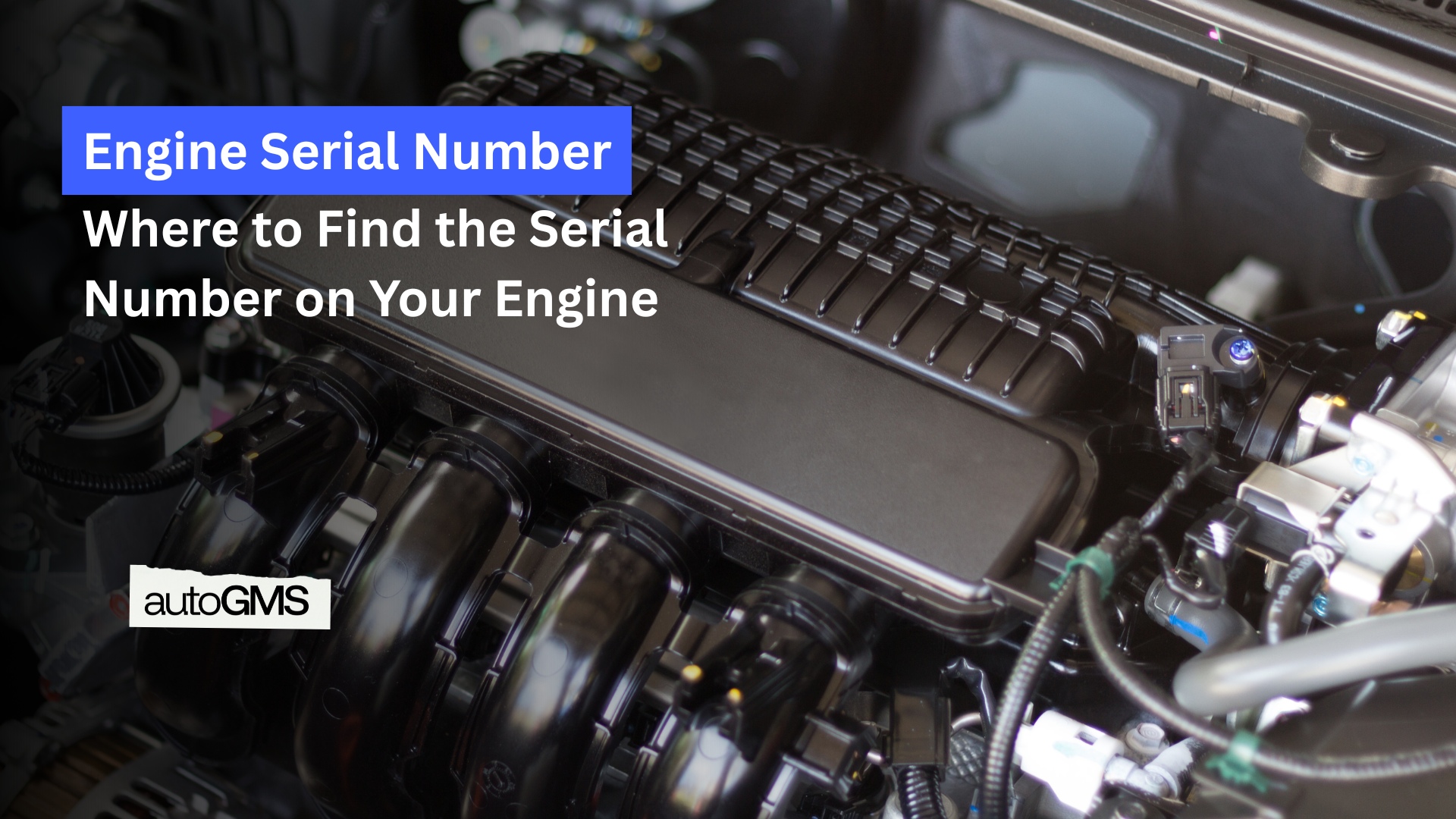 Where to Find the Serial Number on Your Engine