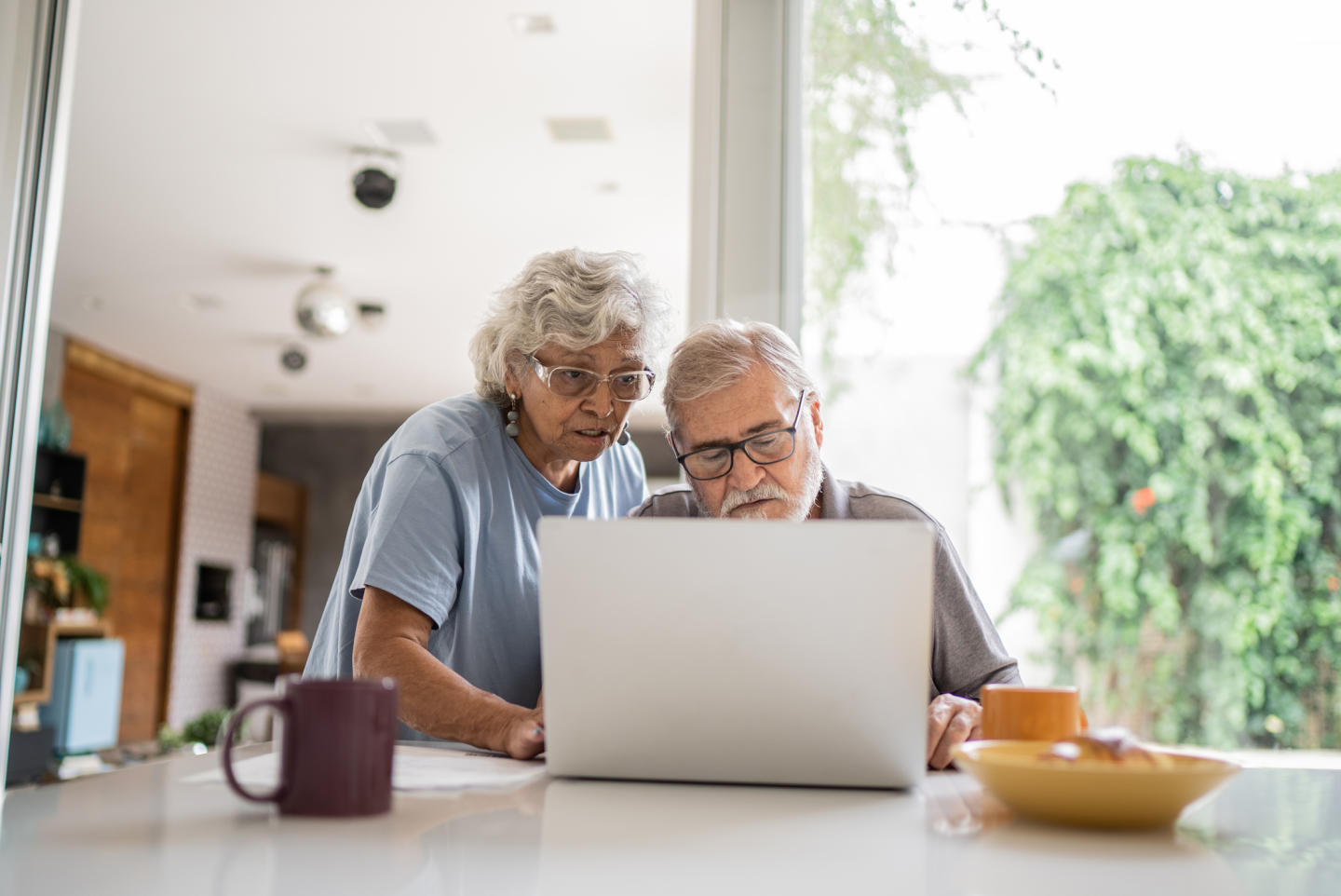 Two seniors looking at laptop