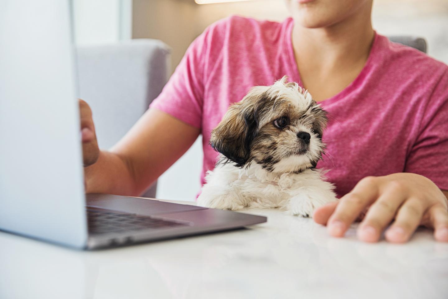  A young person looking at a laptop. 

