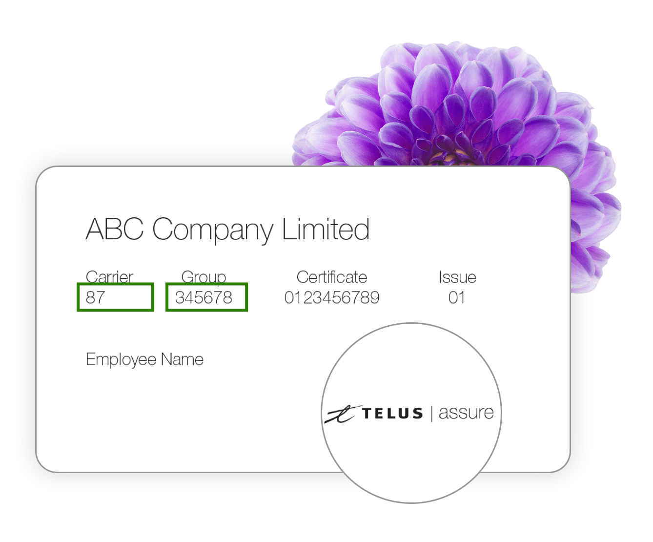 THS3737 Prior Authorization Image-group-8 3x EN