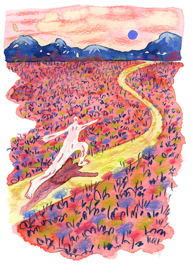 registry-bootcamp-new