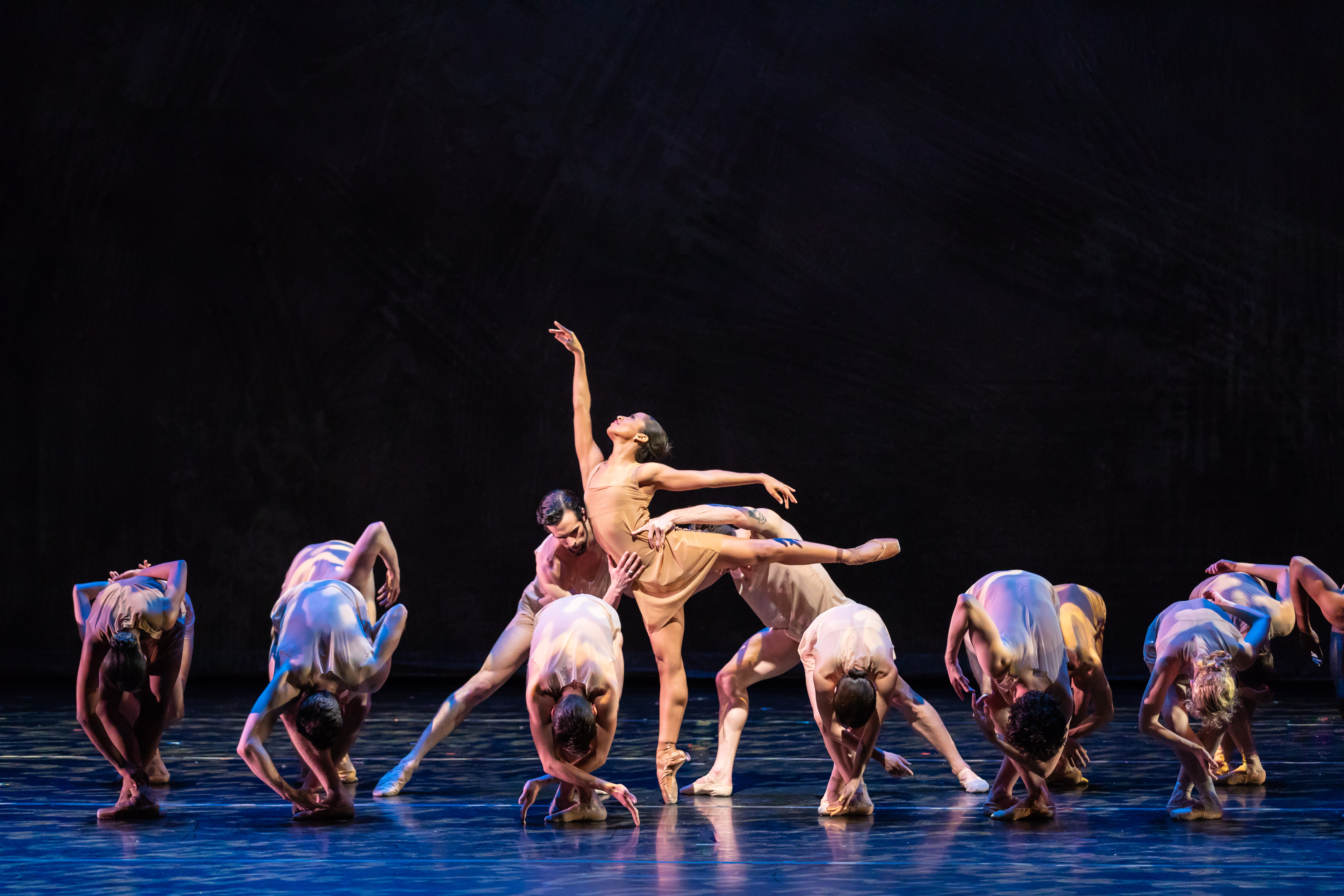 Lucy Negro Redux by Karyn Photography