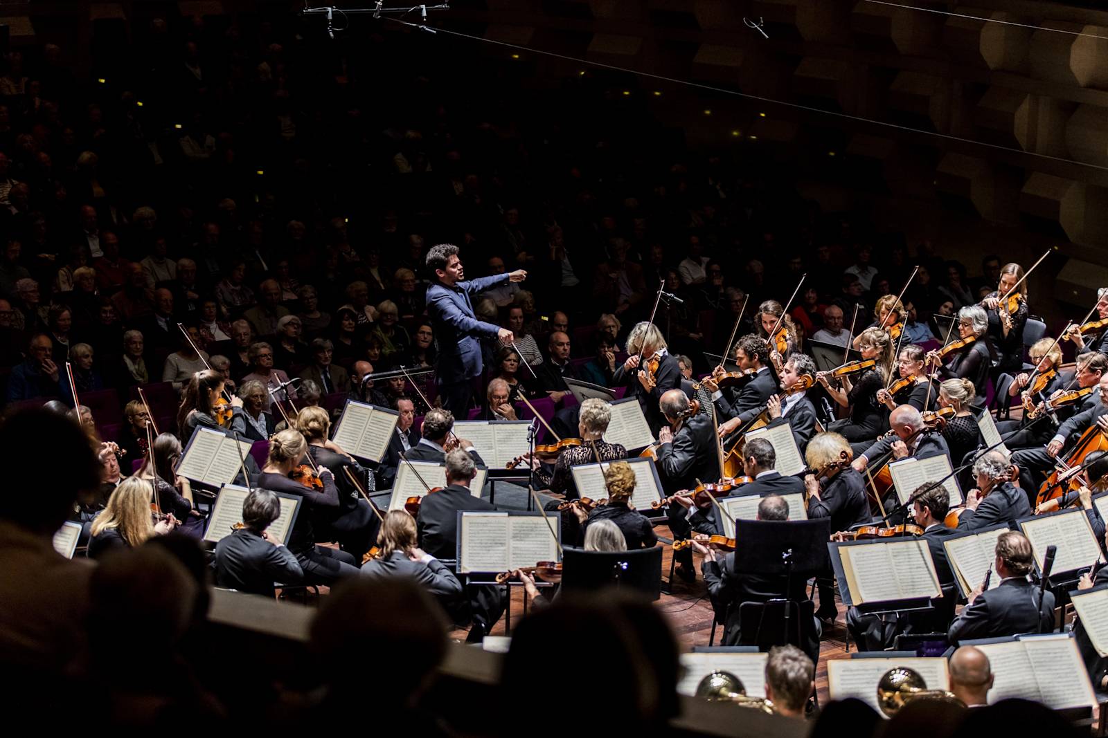 Rotterdam Philharmonic Orchestra - Orchestras