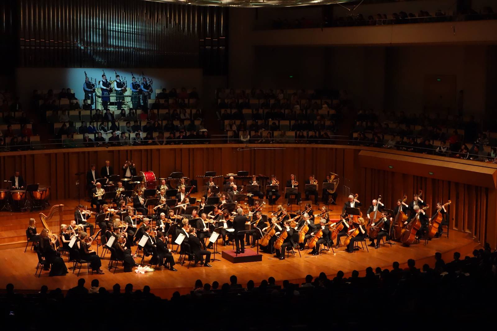Royal Scottish National Orchestra - Orchestras