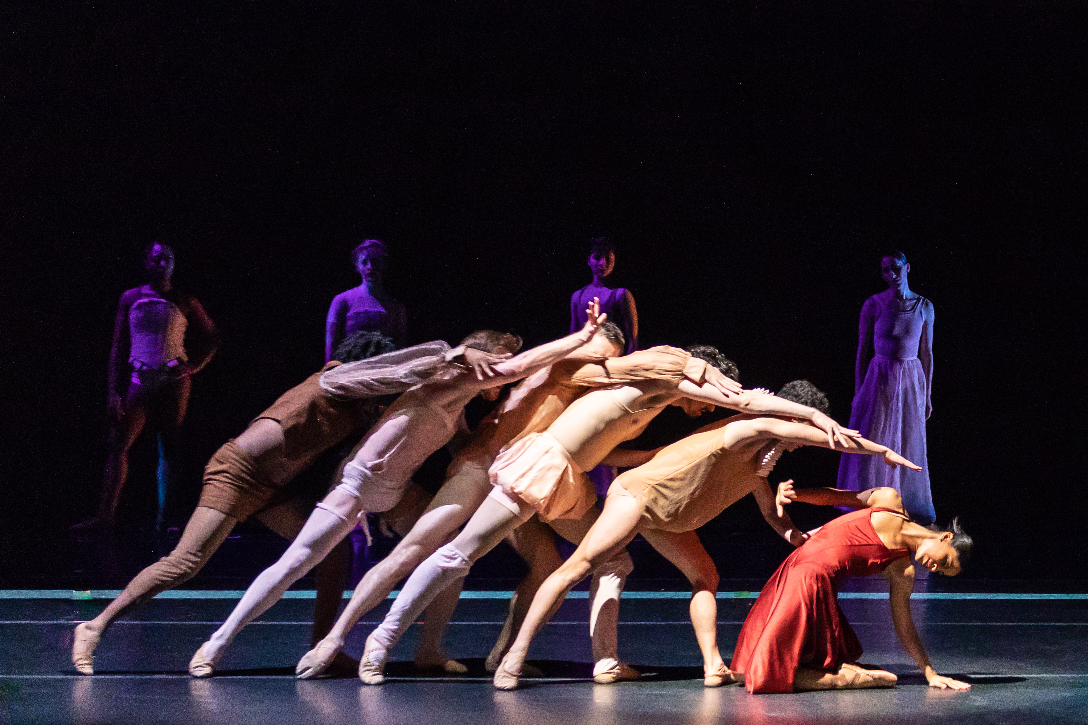 Lucy Negro Redux by Karyn Photography