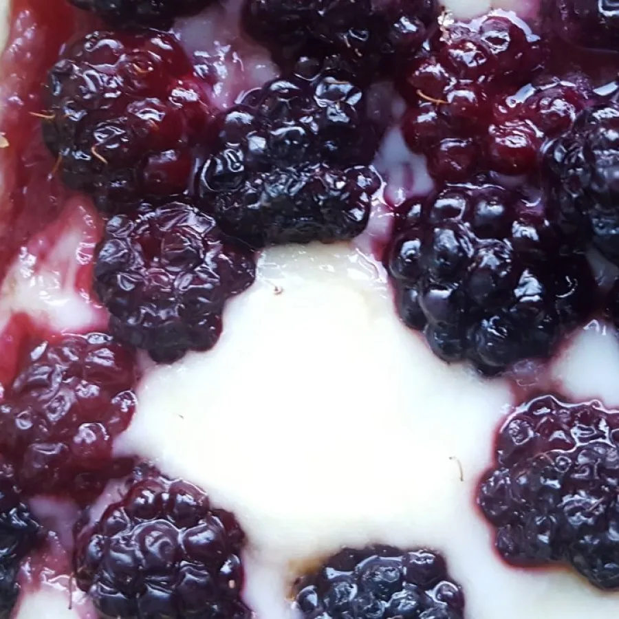 berry mascarpone