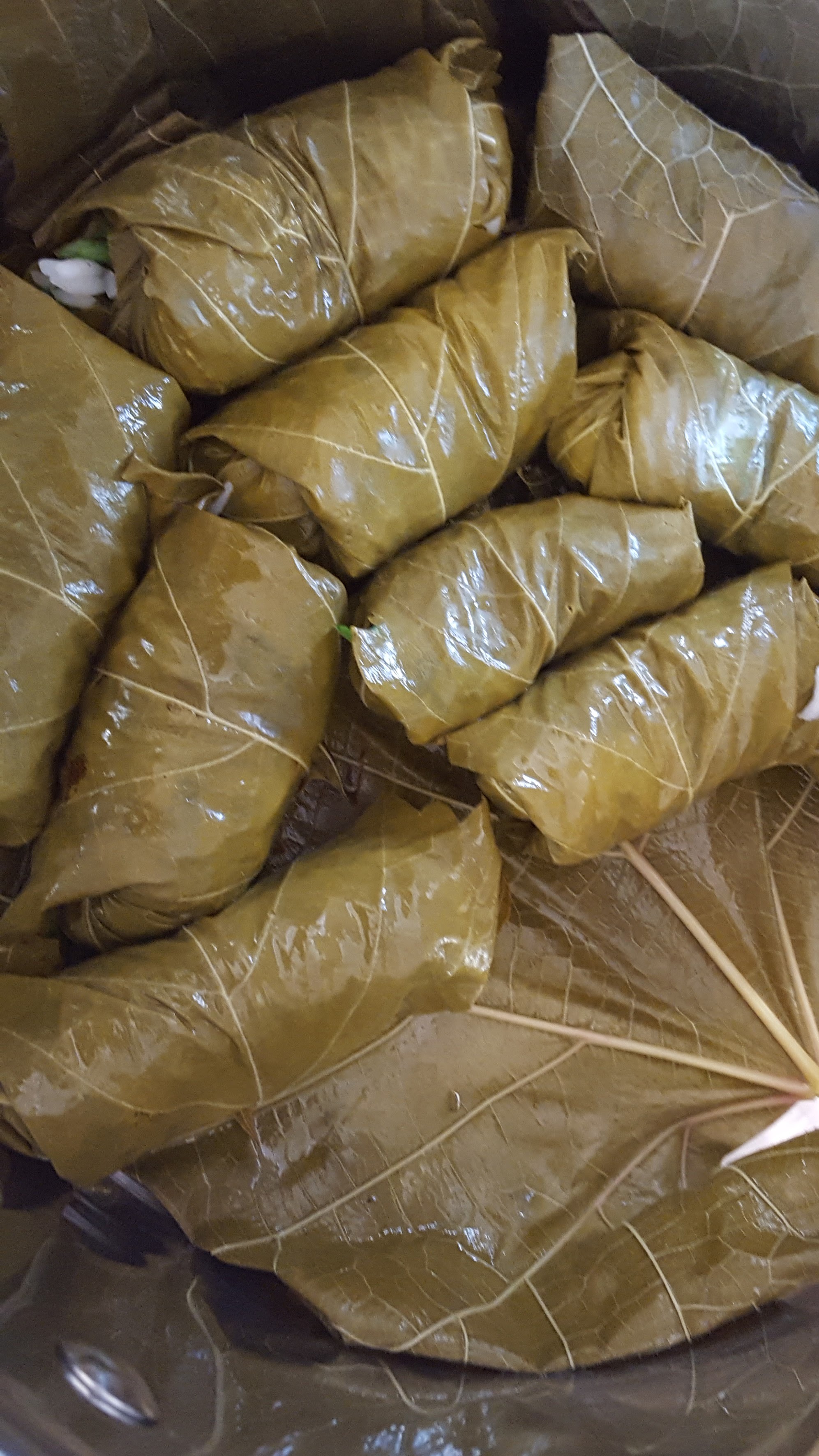 vine leaves