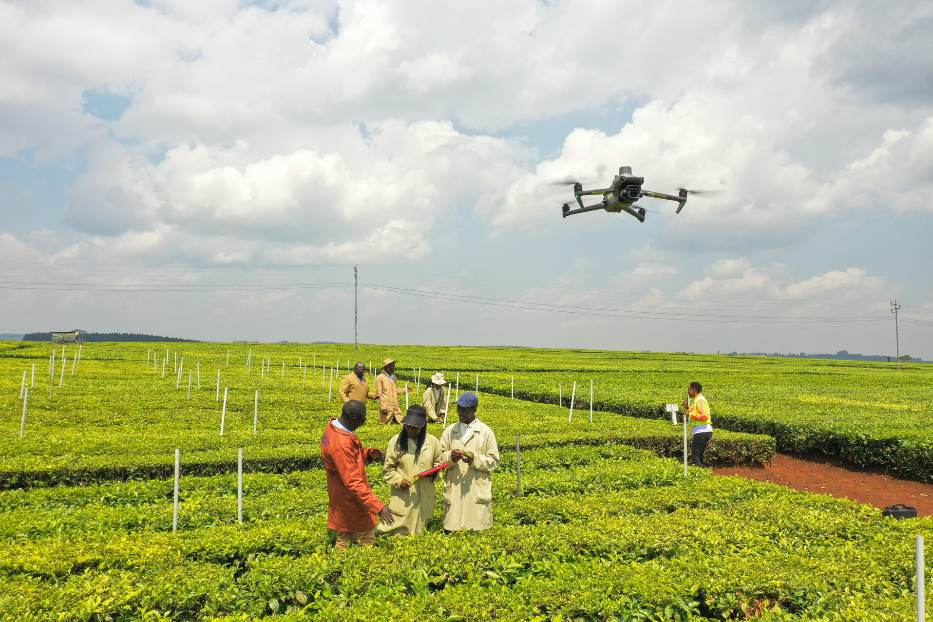 DJI 0104 (1)tea ind image two