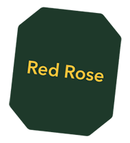 red-rose